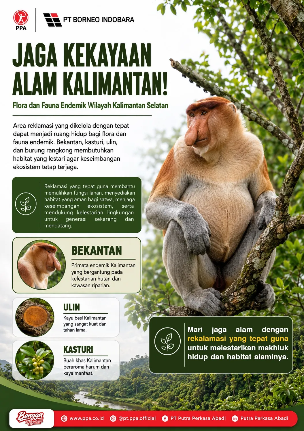 Melestarikan Flora dan Fauna Endemik untuk Masa Depan Kalimantan